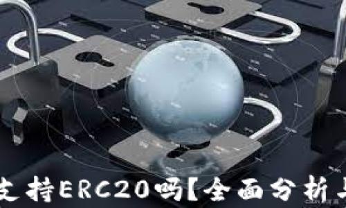 
TPWallet支持ERC20吗？全面分析与实用指南