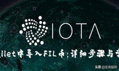 如何在TPWallet中导入FIL币：详细步骤与常见问题解答