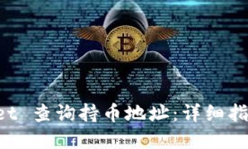 如何使用 TPWallet 查询持币地址：详细指南与相关问题解答