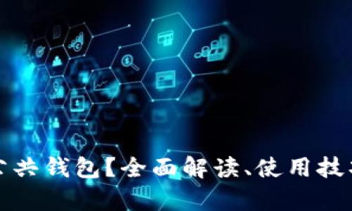 什么是区块链公共钱包？全面解读、使用技巧与安全性分析