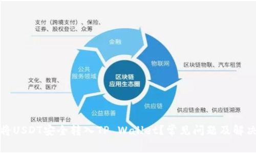 如何将USDT安全转入TP Wallet？常见问题及解决方案
